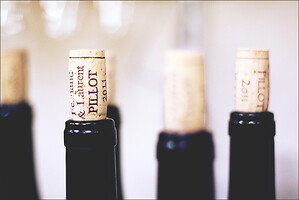 Photo Studio Compositions & Mises en scènes  - n°18735