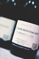 Photo Studio Compositions & Mises en scènes  - n°18736