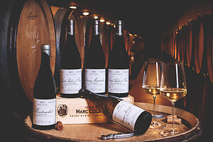 Photo Studio Compositions & Mises en scènes  - n°18754