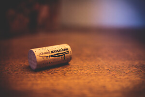 Photo Studio Compositions & Mises en scènes  - n°18760