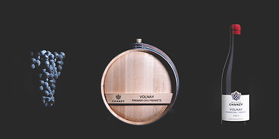 Photo Studio Compositions & Mises en scènes  - n°18786