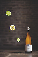 Photo Studio Compositions & Mises en scènes  - n°18791