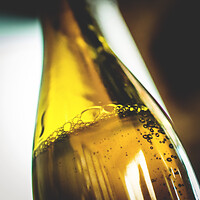 Photo Reportages Brasserie artisanale  - n°18794