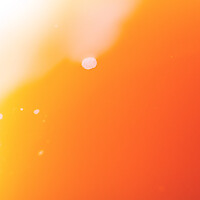 Photo Reportages Brasserie artisanale  - n°18803