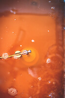 Photo Reportages Brasserie artisanale  - n°18804