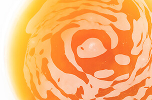 Photo Reportages Brasserie artisanale  - n°18806