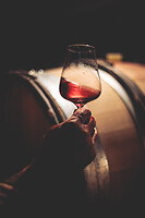 Photo Domaines-Viticoles Auteur Wines  - n°18837