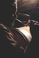 Photo Domaines-Viticoles Auteur Wines  - n°18838