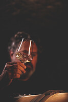 Photo Domaines-Viticoles Auteur Wines  - n°18840