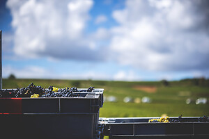 Photo Domaines-Viticoles Auteur Wines  - n°18865