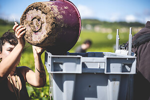 Photo Domaines-Viticoles Auteur Wines  - n°18868