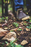 Photo Domaines-Viticoles Auteur Wines  - n°18877