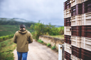 Photo Domaines-Viticoles Auteur Wines  - n°18881