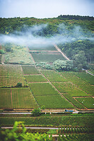 Photo Domaines-Viticoles Auteur Wines  - n°18883