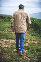 Photo Domaines-Viticoles Auteur Wines  - n°18885