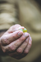 Photo Domaines-Viticoles Auteur Wines  - n°18888