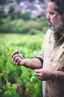 Photo Domaines-Viticoles Auteur Wines  - n°18889