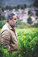 Photo Domaines-Viticoles Auteur Wines  - n°18892