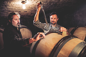 Photo Domaines-Viticoles Auteur Wines  - n°18899