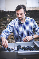 Photo Domaines-Viticoles Auteur Wines  - n°18904