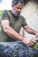 Photo Domaines-Viticoles Auteur Wines  - n°18910