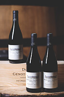 Photo Studio Compositions & Mises en scènes  - n°18927