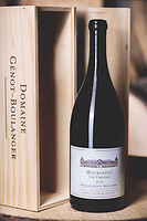 Photo Studio Compositions & Mises en scènes  - n°18934