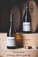 Photo Studio Compositions & Mises en scènes  - n°18935