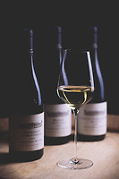 Photo Studio Compositions & Mises en scènes  - n°18938