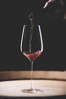 Photo Studio Compositions & Mises en scènes  - n°18941