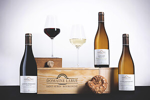 Photo Studio Compositions & Mises en scènes  - n°18956