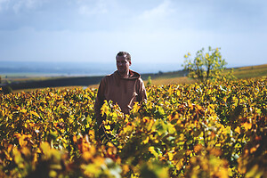 Photo Domaines-Viticoles Champagne Gimonnet-Gonet  - n°18981