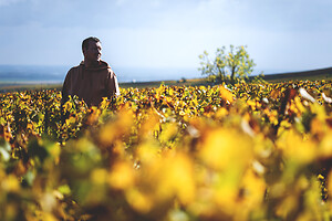 Photo Domaines-Viticoles Champagne Gimonnet-Gonet  - n°18982