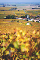 Photo Domaines-Viticoles Champagne Gimonnet-Gonet  - n°18983