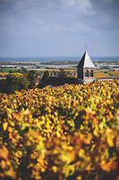 Photo Domaines-Viticoles Champagne Gimonnet-Gonet  - n°18986