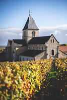 Photo Domaines-Viticoles Champagne Gimonnet-Gonet  - n°18993