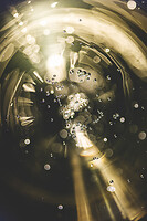 Photo Domaines-Viticoles Champagne Gimonnet-Gonet  - n°18996