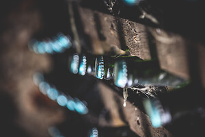 Photo Domaines-Viticoles Champagne Gimonnet-Gonet  - n°18998