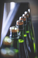 Photo Domaines-Viticoles Champagne Gimonnet-Gonet  - n°19002