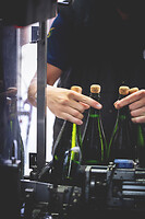 Photo Domaines-Viticoles Champagne Gimonnet-Gonet  - n°19004