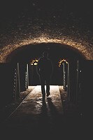 Photo Domaines-Viticoles Champagne Gimonnet-Gonet  - n°19012