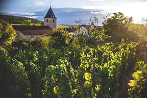 Photo Domaines-Viticoles Champagne Drappier  - n°19147