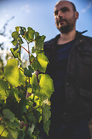 Photo Domaines-Viticoles Champagne Drappier  - n°19149