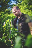 Photo Domaines-Viticoles Champagne Drappier  - n°19150