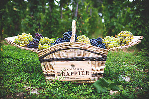 Photo Domaines-Viticoles Champagne Drappier  - n°19153