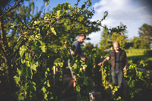 Photo Domaines-Viticoles Champagne Drappier  - n°19156