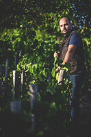 Photo Domaines-Viticoles Champagne Drappier  - n°19157