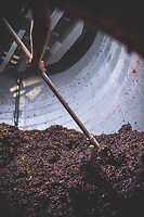 Photo Domaines-Viticoles Champagne Drappier  - n°19170