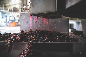 Photo Domaines-Viticoles Champagne Drappier  - n°19173