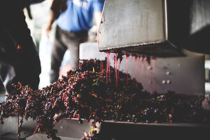 Photo Domaines-Viticoles Champagne Drappier  - n°19174